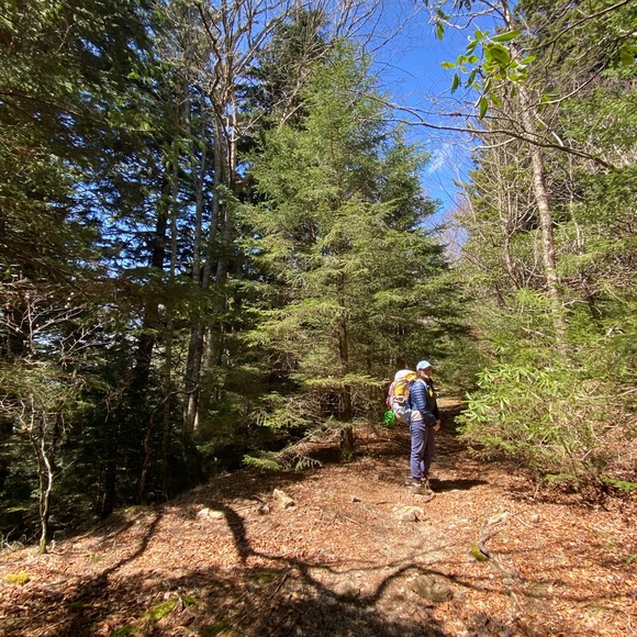 Meet your Posher, Peyton - Picture 2 of 3